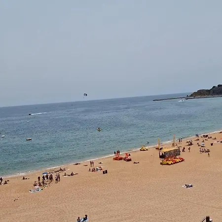 Ribeiro Albufeira